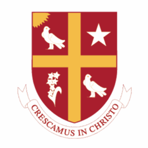 University of St. Thomas (TX) logo